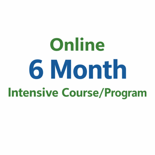 Online 6 Month Intensive Course/Program