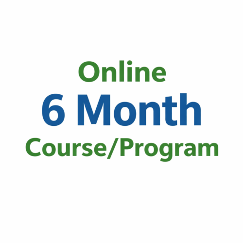 Online 6 Month Course/Program